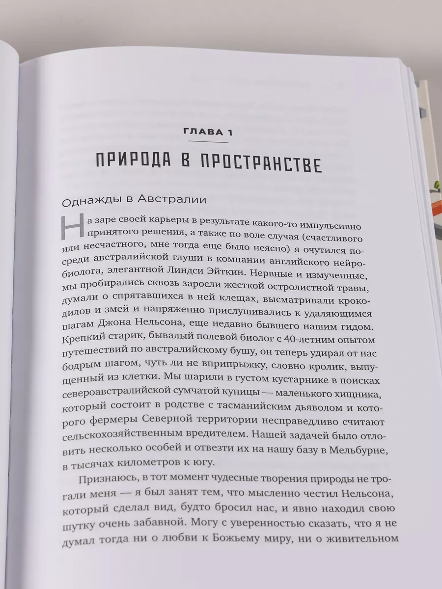 Среда обитания: Как архитектура влияет на наше поведение Альпина. Книги  8218512 купить за 602 ₽ в интернет-магазине Wildberries