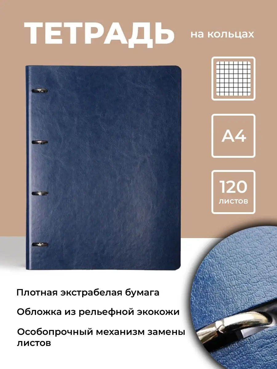 Тетрадь на кольцах со сменным блоком Infolio Study 8239355 купить в  интернет-магазине Wildberries