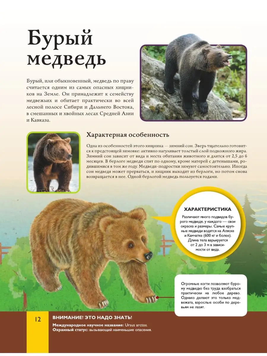 Животные Издательство АСТ 8271034 купить в интернет-магазине Wildberries