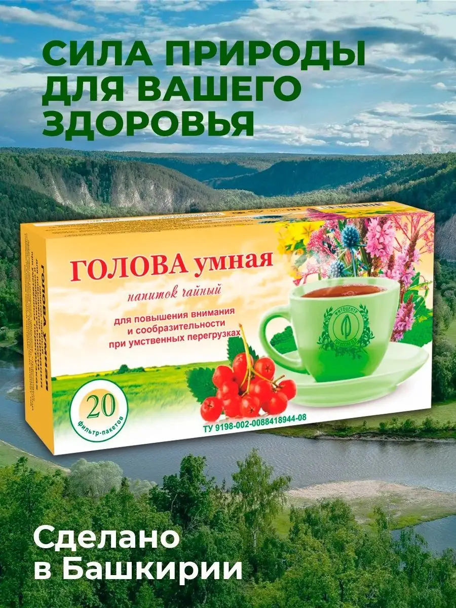 Травяной сбор, чайный напиток, Голова умная, 20 пакетиков KAMCHATKA 8274173  купить в интернет-магазине Wildberries