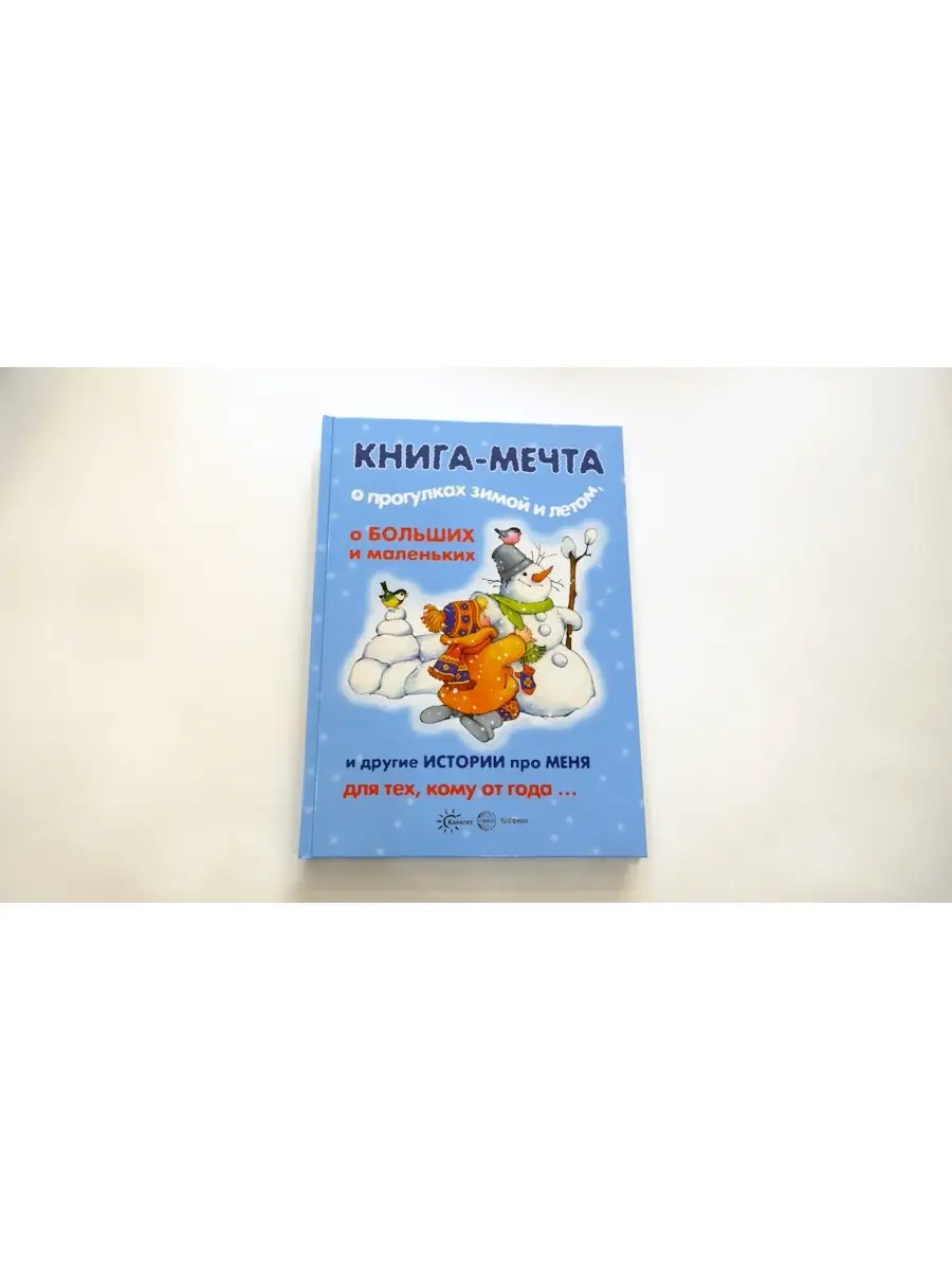 Книга для детей Книги о которых мечтают все Прогулки зимой ТЦ СФЕРА 8275314  купить за 396 ₽ в интернет-магазине Wildberries