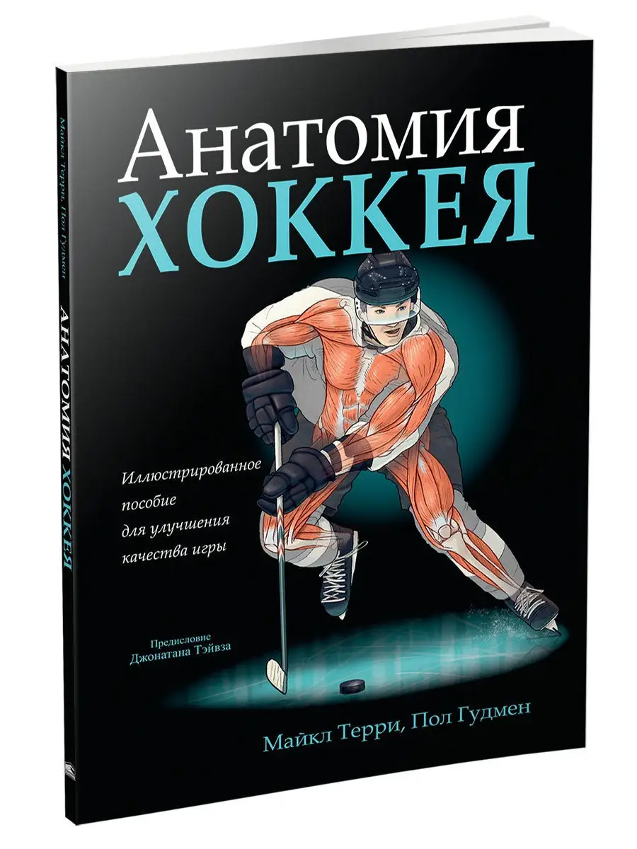 Анатомия хоккея