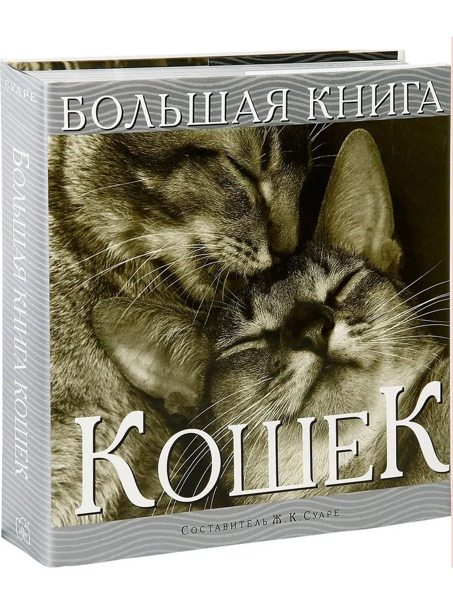 Кошачий вестник