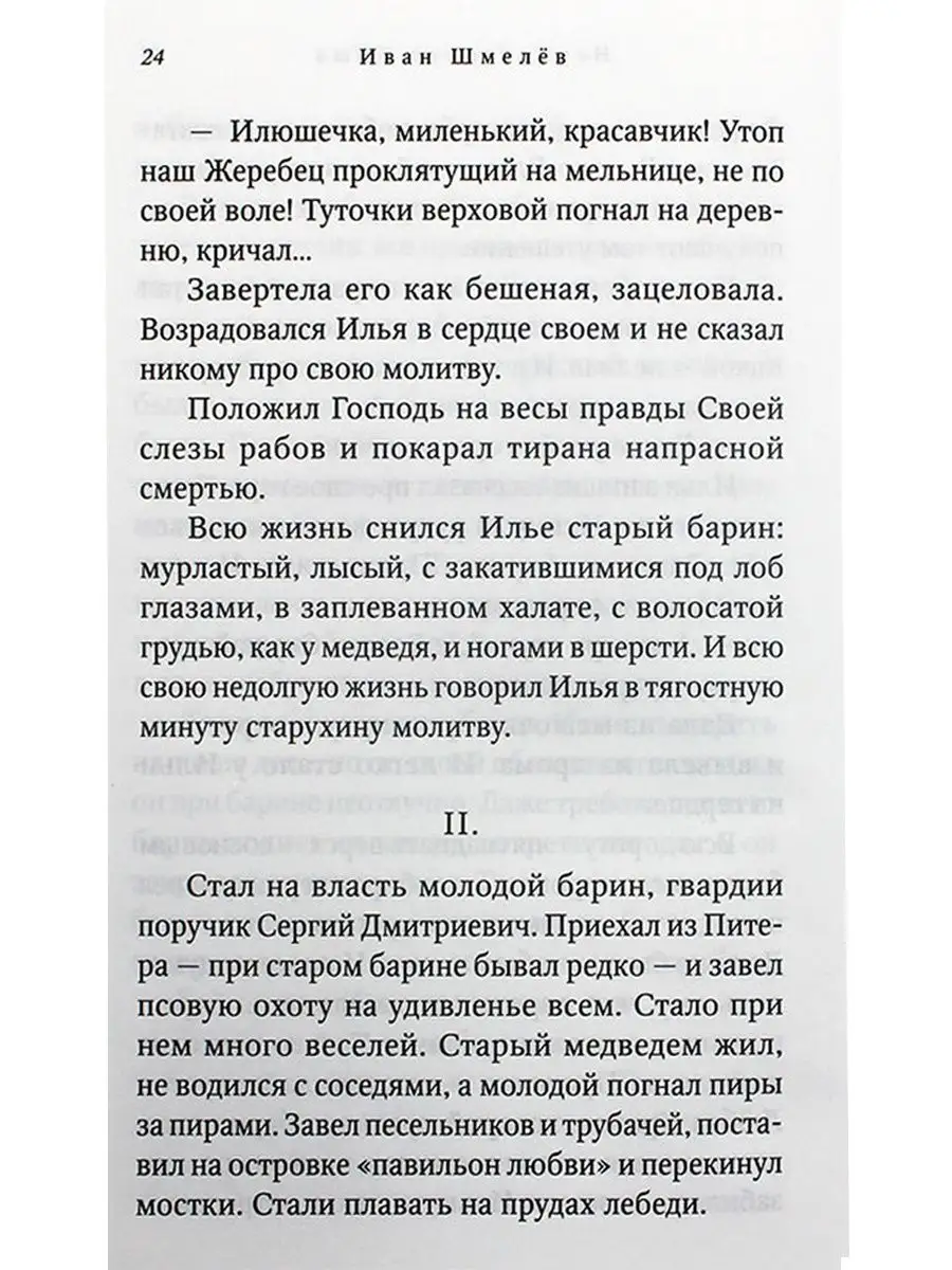 Богомолье. Повести и рассказы Сибирская Благозвонница 8425370 купить за 564  ₽ в интернет-магазине Wildberries