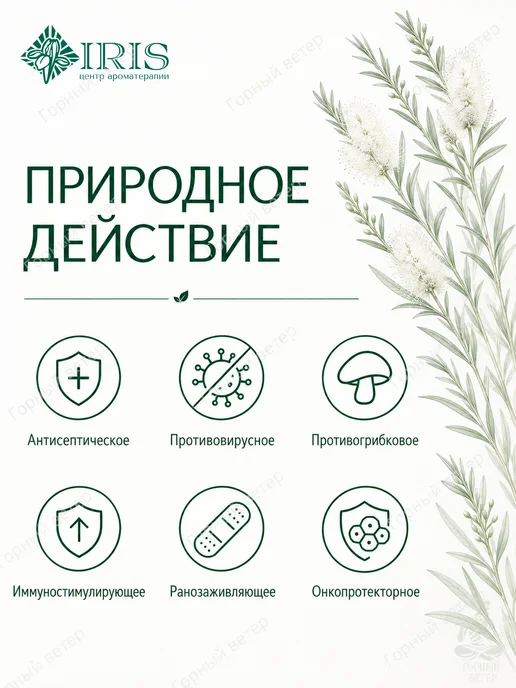 Ирис Эфирное масло чайного дерева IRIS профессиональное, 10 мл, 10 мл, фото 4