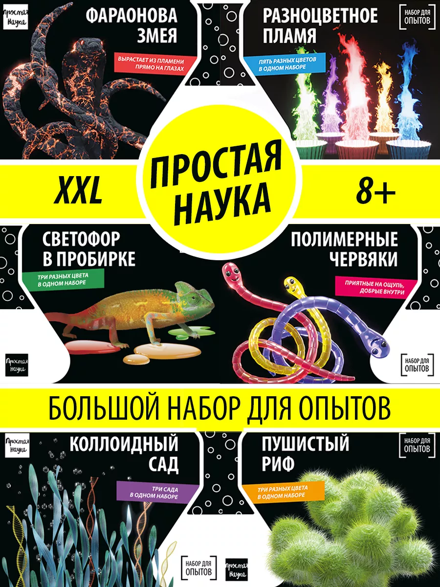 XXL набор опытов и экспериментов на подарок Премиум Простая наука 8529840  купить за 1 161 ₽ в интернет-магазине Wildberries