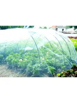 Теплица садовая для рассады 5 м Green Apple. Цвет прозрачный. Вид 2.