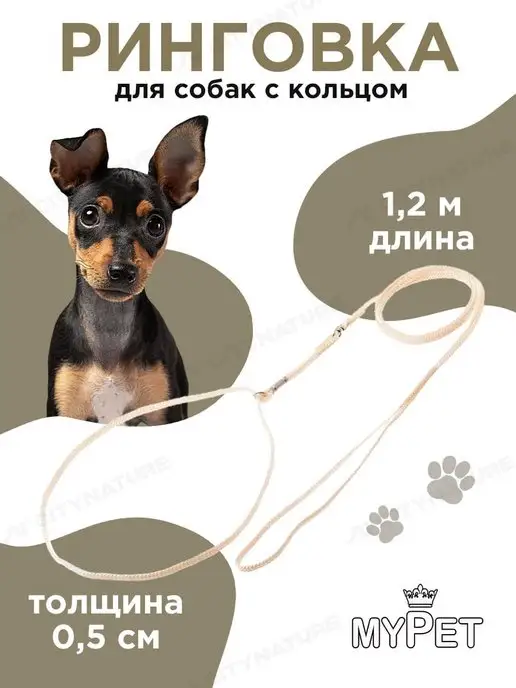 myPet Ринговка для собак поводок удавка для выставки и груминга, вариант