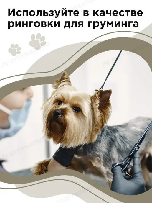 myPet Ринговка для собак поводок удавка для выставки и груминга, вариант, фото 3