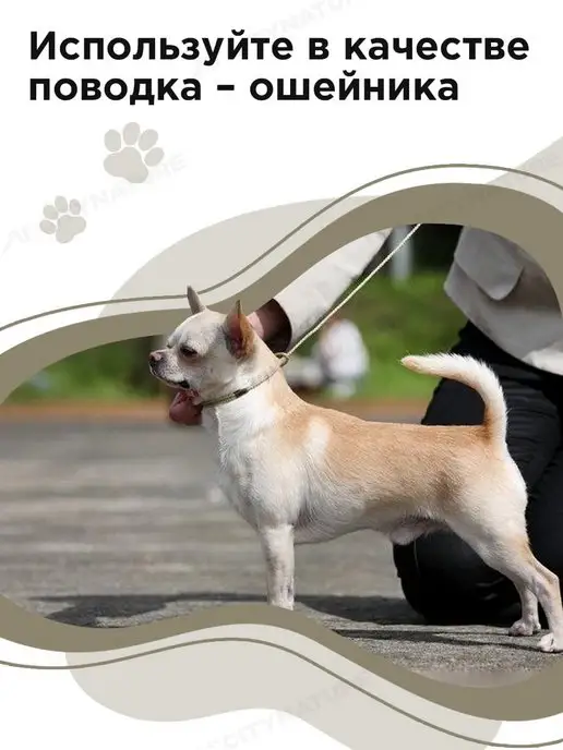 myPet Ринговка для собак поводок удавка для выставки и груминга, вариант, фото 5
