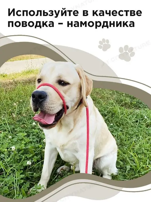 myPet Ринговка для собак поводок удавка для выставки и груминга, вариант, фото 6