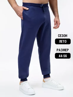 Брюки летние спортивные FABGARB 8561737 купить за 1 234 ₽ в интернет-магазине Wildberries