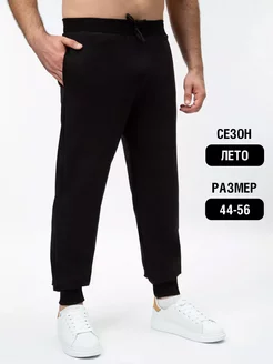 Брюки летние спортивные FABGARB 8561739 купить за 1 234 ₽ в интернет-магазине Wildberries