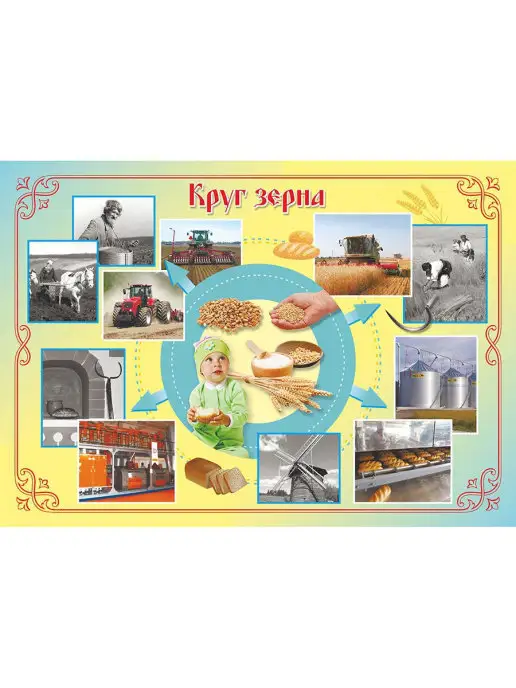 Издательство Учитель Плакаты "Хлеб - всему голова", белый, фото 2