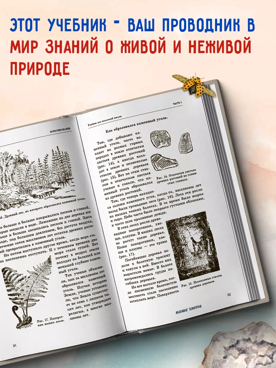 Естествознание. Учебник в двух частях. 1939-1940 Издательство Наше Завтра  8635417 купить за 385 ₽ в интернет-магазине Wildberries