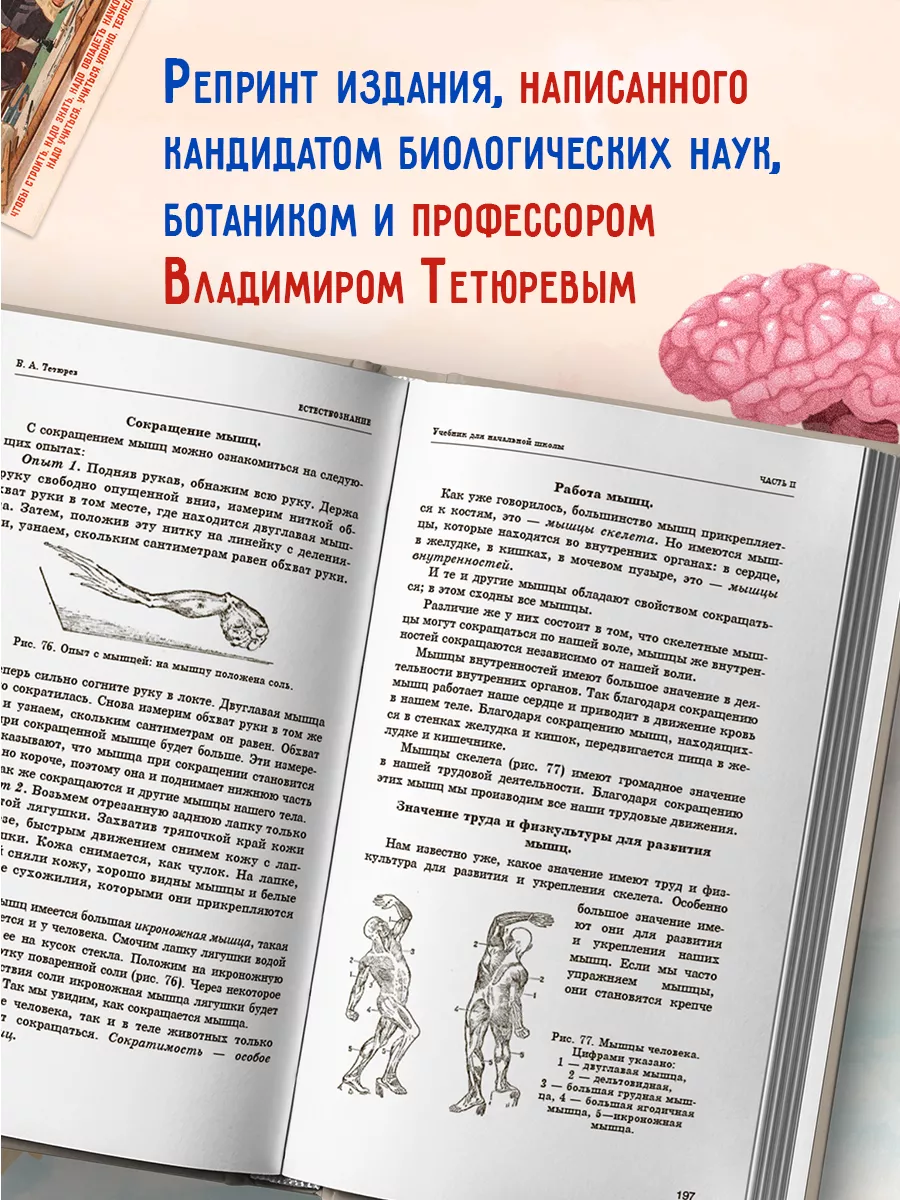 Естествознание. Учебник в двух частях. 1939-1940 Издательство Наше Завтра  8635417 купить за 385 ₽ в интернет-магазине Wildberries