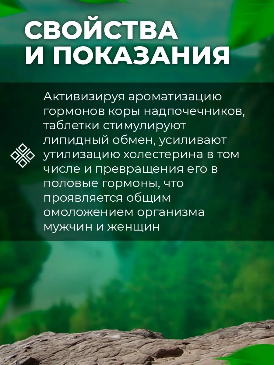 Холестерин норма 90 таблеток Гордеев 8653292 купить за 409 ₽ в  интернет-магазине Wildberries