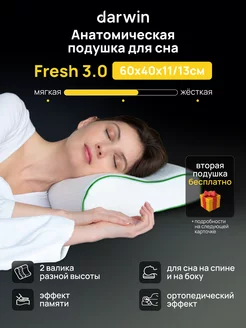 Подушка ортопедическая Fresh 3.0 40х60х11/13 см Darwin 8692144 купить за 1 644 ₽ в интернет-магазине Wildberries