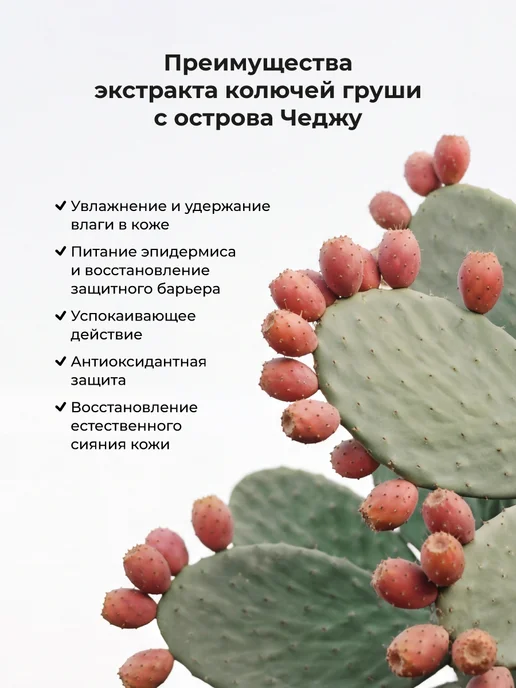 Flor de Man Корейский гель для душа с экстрактом колючей груши 500 мл, 500 мл, фото 5