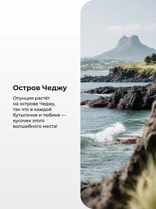 Flor de Man Корейский гель для душа с экстрактом колючей груши 500 мл, 500 мл, фото 6