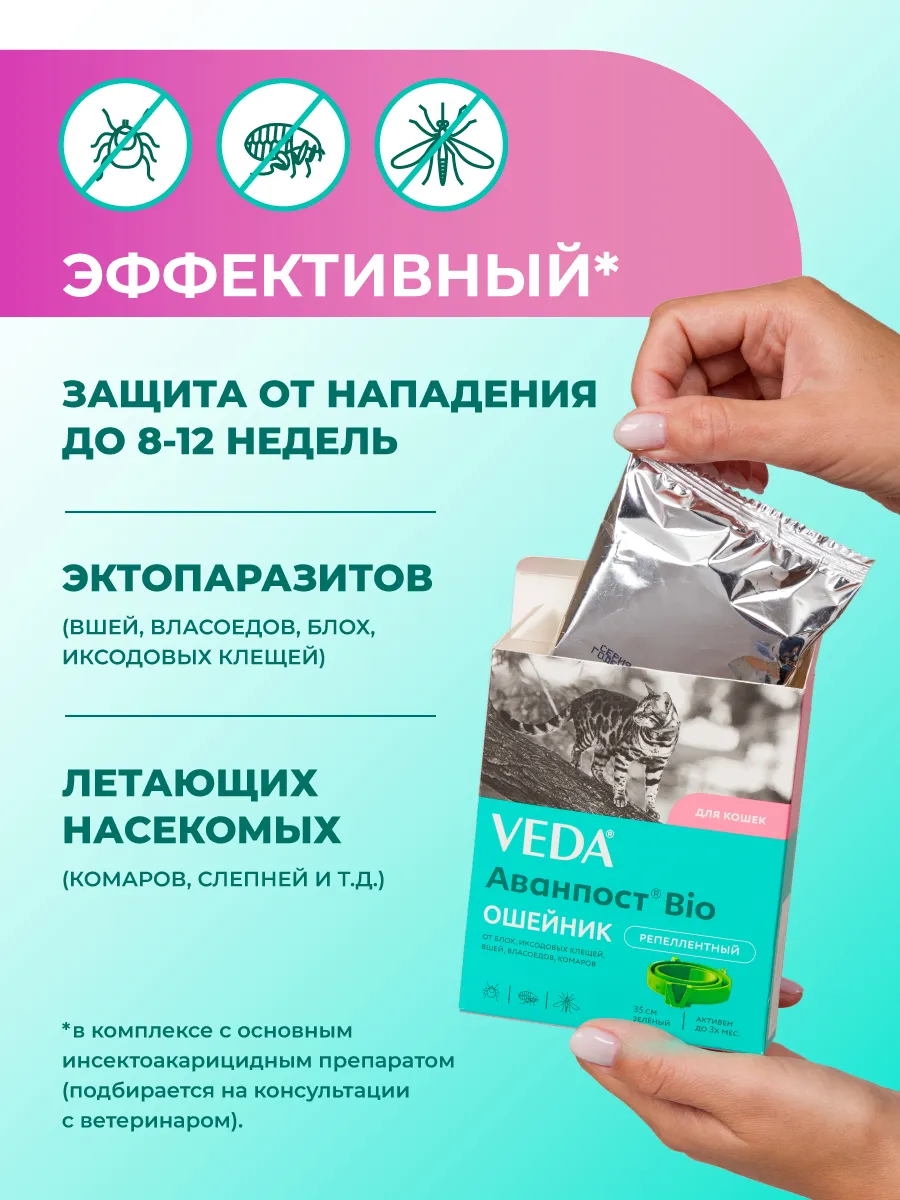 Аванпост Bio ошейник репеллентный для кошек, 35 см VEDA 8711656 купить за  151 ₽ в интернет-магазине Wildberries