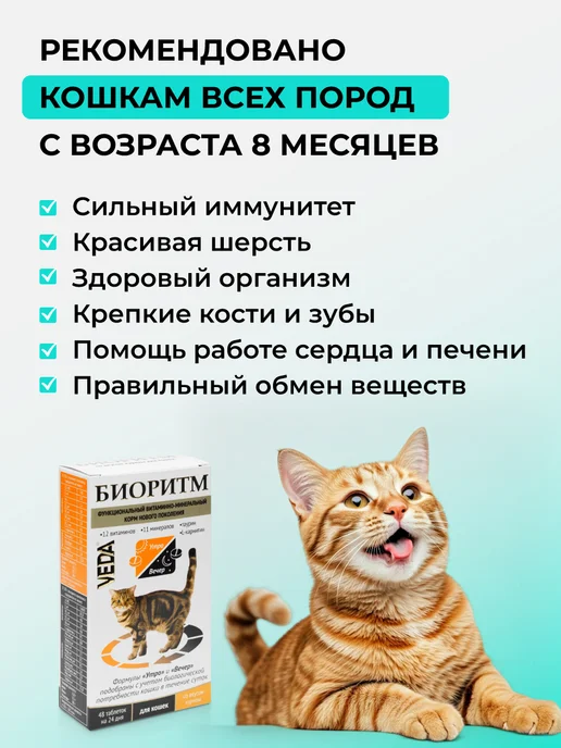 veda Витамины для кошек со вкусом курицы, Биоритм, вариант, фото 2