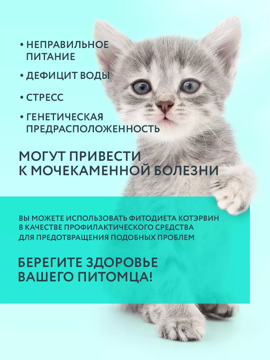 ФИТОДИЕТА КОТЭРВИН, 3 фл. по 10 мл VEDA 8711669 купить за 291 ₽ в  интернет-магазине Wildberries