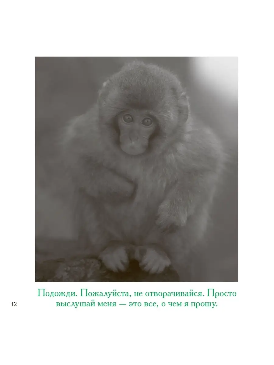 ПРОСТИ МЕНЯ... / Б.Т. Грив / тв.пер./ подарочное издание Добрая книга  8777265 купить за 567 ₽ в интернет-магазине Wildberries