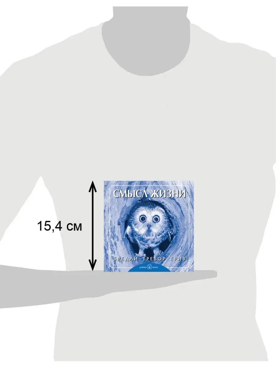 СМЫСЛ ЖИЗНИ / Бредли Тревор Грив / Твёрдый переплёт Добрая книга 8777306  купить за 514 ₽ в интернет-магазине Wildberries