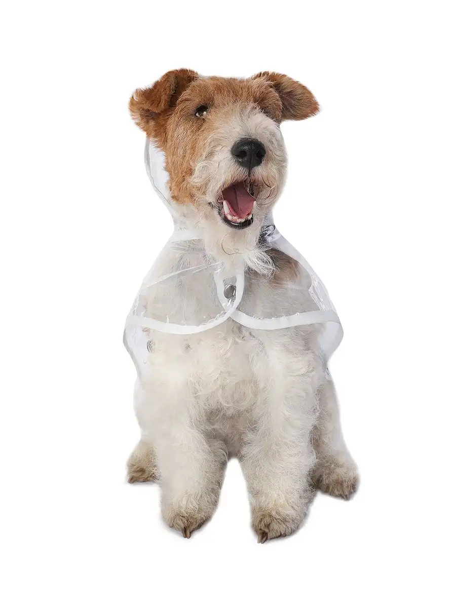 Aigumi clearance puppy raincoat