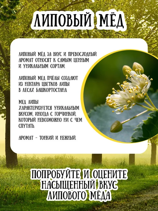 Мёд семьи Мамдеевых Липовый мед, 500 г, натуральный, зож, 500 г, фото 3