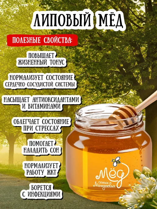 Мёд семьи Мамдеевых Липовый мед, 500 г, натуральный, зож, 500 г, фото 5