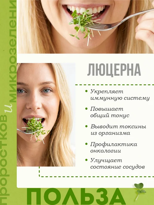 Никольские ПроРостки Семена люцерны для проращивания, микрозелень 100 г, 100 г, фото 3