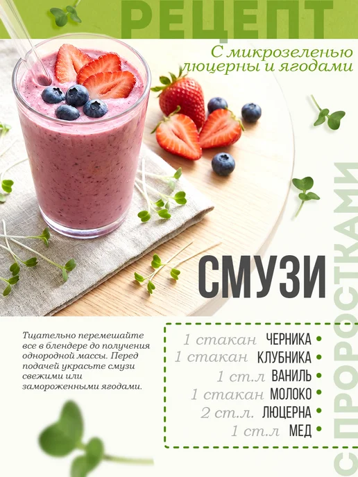 Никольские ПроРостки Семена люцерны для проращивания, микрозелень 100 г, 100 г, фото 6