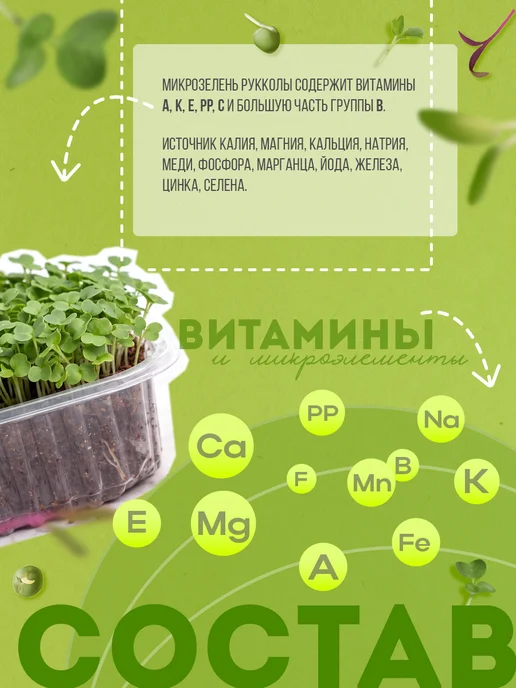 Никольские ПроРостки Семена рукколы индау для микрозелени 100 г, 100 г, фото 2