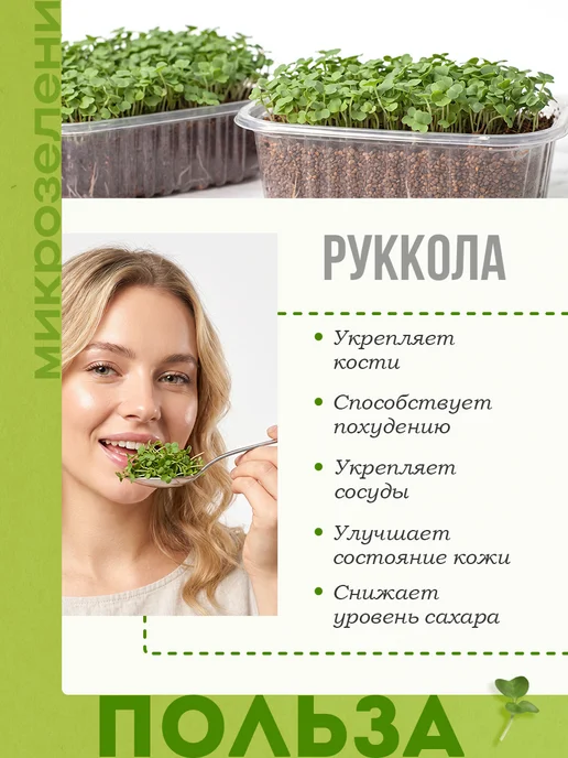 Никольские ПроРостки Семена рукколы индау для микрозелени 100 г, 100 г, фото 3