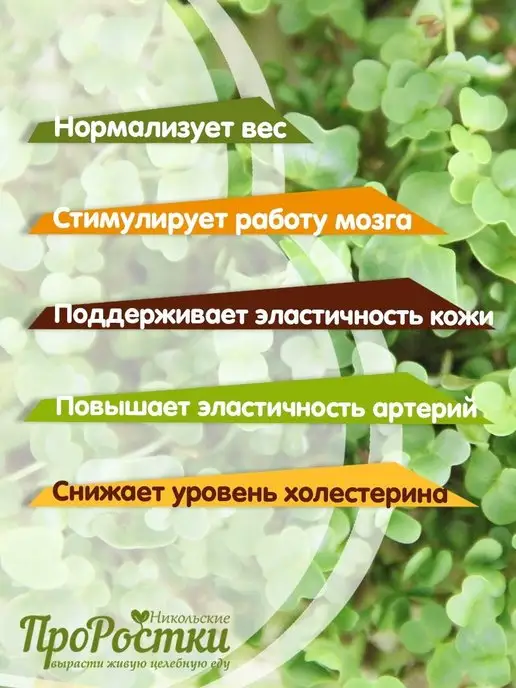Никольские ПроРостки Семена для микрозелени, смесь Молодость, 5 культур, 100 г, 100 г, фото 2