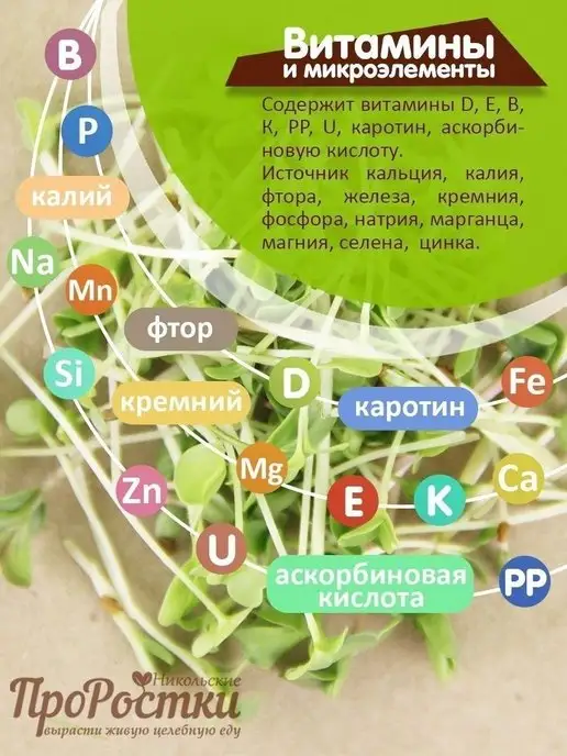 Никольские ПроРостки Семена для микрозелени, смесь Молодость, 5 культур, 100 г, 100 г, фото 3