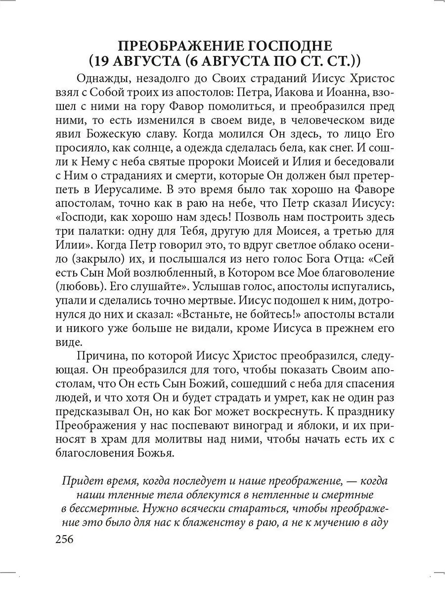 Детская Библия с закладкой-ляссе Издательство СЗКЭО 8870663 купить за 378 ₽  в интернет-магазине Wildberries