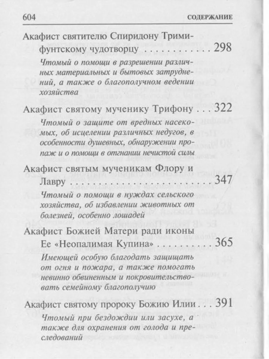 Акафисты Божией Матери и святым, читаемые в житейских нуждах Терирем  8874537 купить за 350 ₽ в интернет-магазине Wildberries