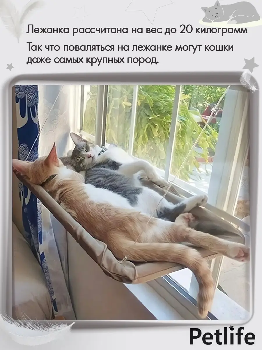 Купить лежаки и домики для кошек в интернет магазине конференц-зал-самара.рф
