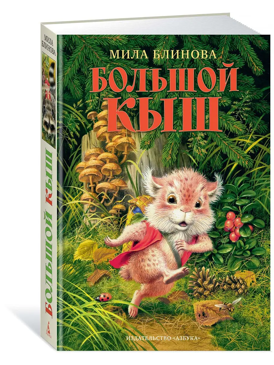 Большой Кыш Азбука 8998526 купить за 1 093 ₽ в интернет-магазине Wildberries