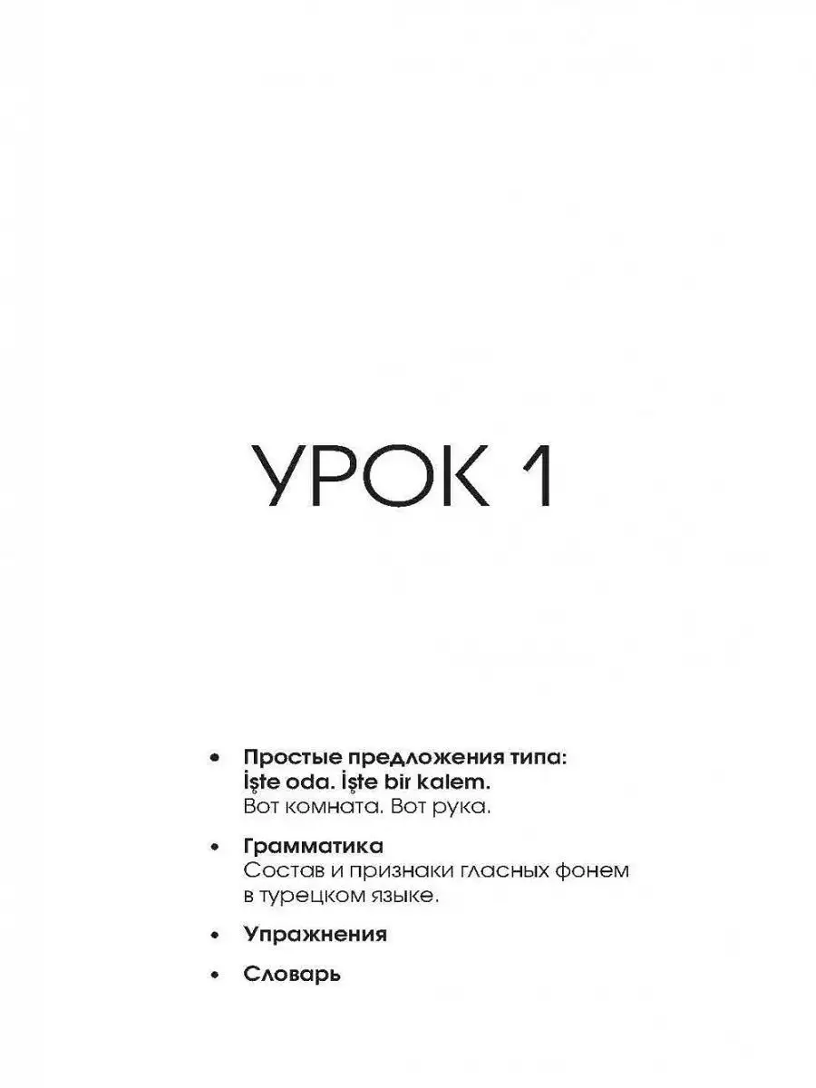 Турецкий язык. Начальный курс Издательство КАРО 9014762 купить за 621 ₽ в  интернет-магазине Wildberries