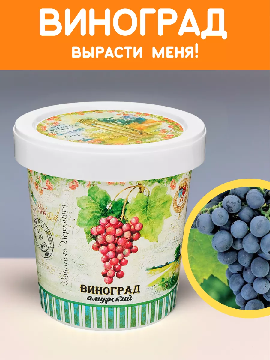 Набор для выращивания растений Вырасти сам Виноград