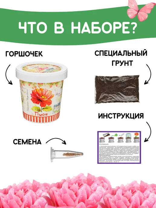 Rostokvisa Набор для выращивания растений Вырасти сам цветы Пион, вариант, фото 2
