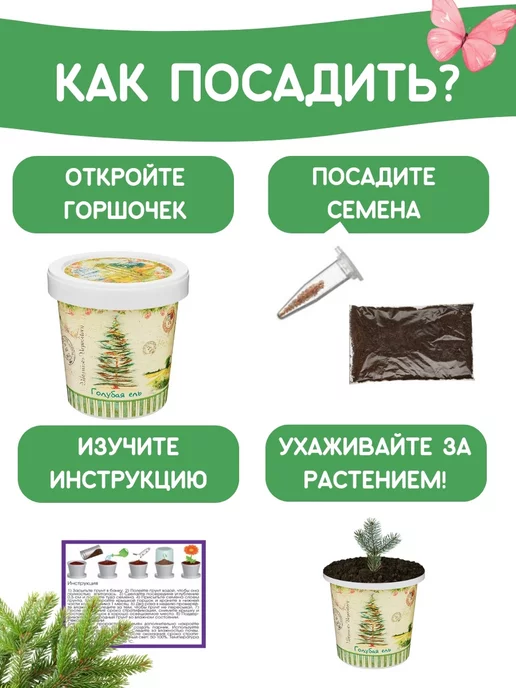 Rostokvisa Набор для выращивания растений Вырасти сам живую Ель, вариант, фото 4