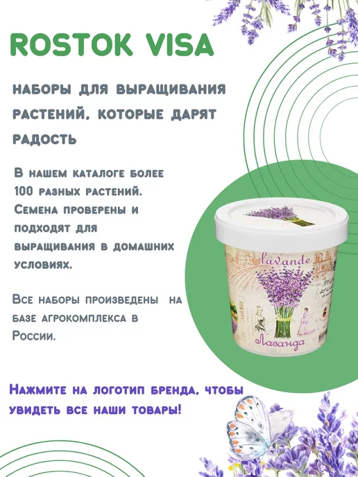 Rostokvisa Набор для выращивания растений Вырасти сам живую Ель, вариант, фото 6