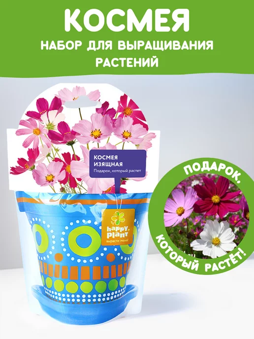 Happy Plants Набор для выращивания растений Вырасти сам цветы Космея, вариант