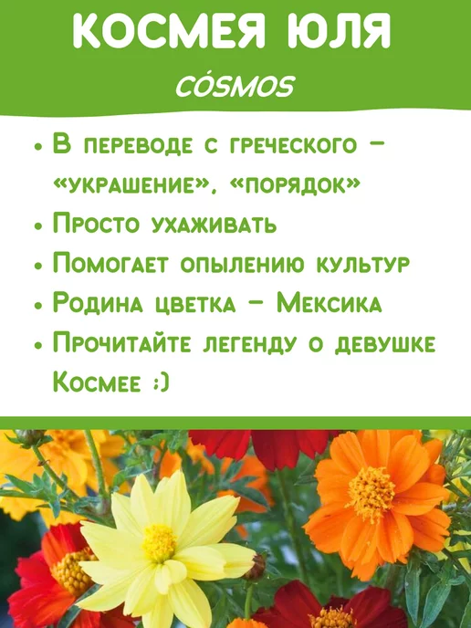 Happy Plants Набор для выращивания растений Вырасти сам цветы Космея, вариант, фото 3