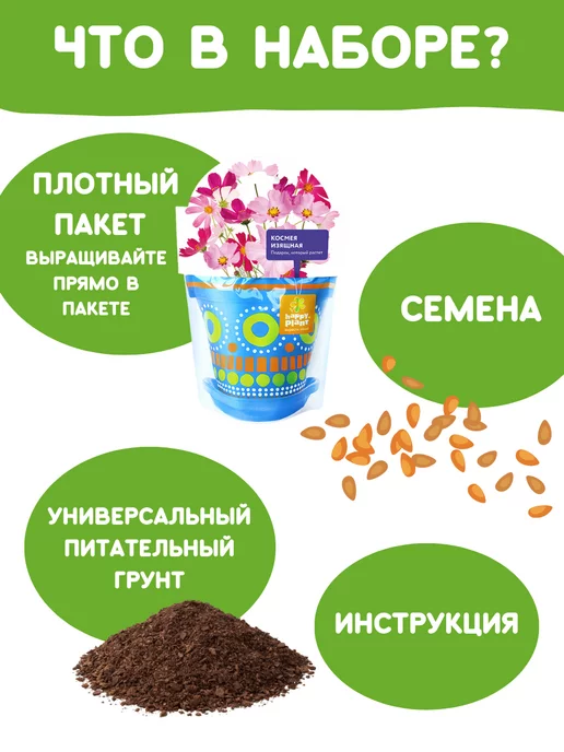 Happy Plants Набор для выращивания растений Вырасти сам цветы Космея, вариант, фото 4